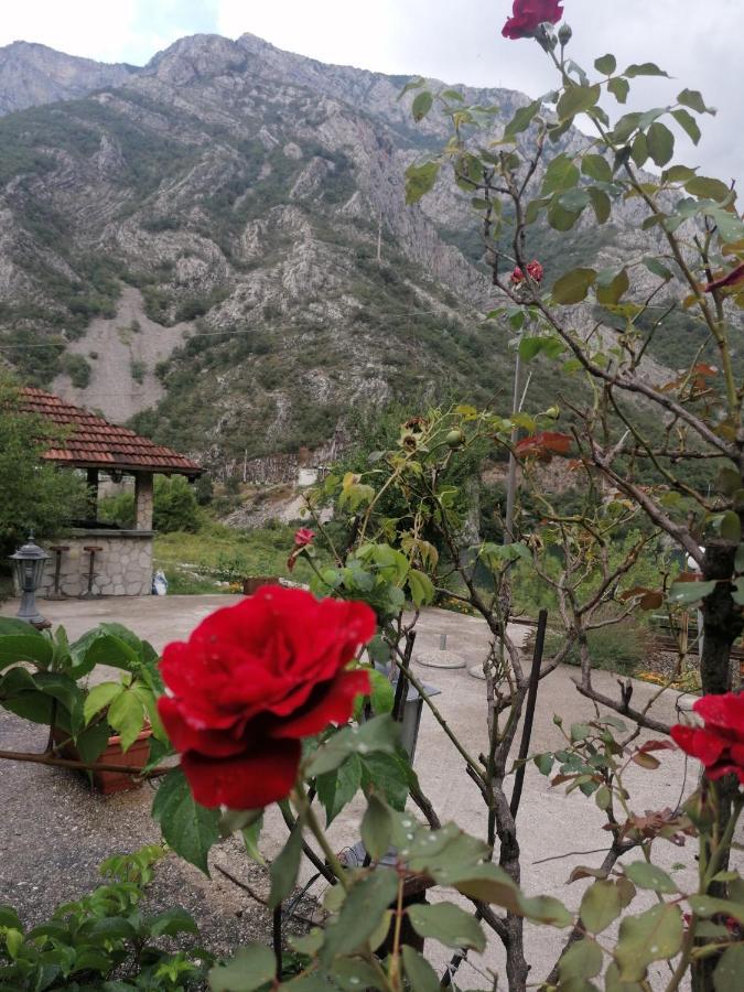 Willa Visit Dreznica Mostar Zewnętrze zdjęcie